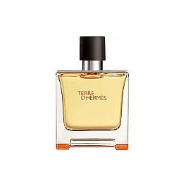 HERMES TERRE H edt vap  50/20873